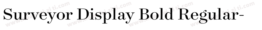 Surveyor Display Bold Regular字体转换
